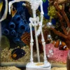 Funny Skeleton Aquarium Decor for Fish Tanks