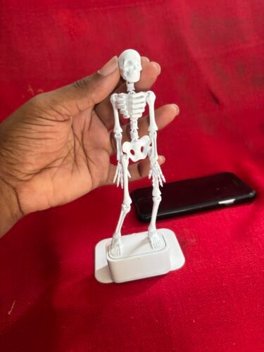 Funny Skeleton Aquarium Decor for Fish Tanks photo review